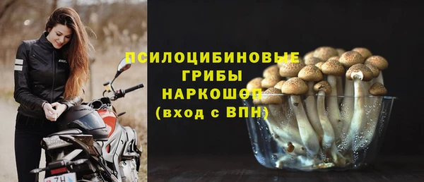 шишки Верхний Тагил