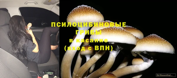 mdma Верея