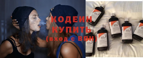 шишки Верхний Тагил