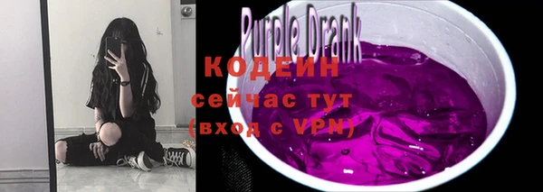 шишки Верхний Тагил