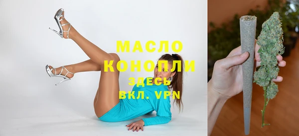 шишки Верхний Тагил