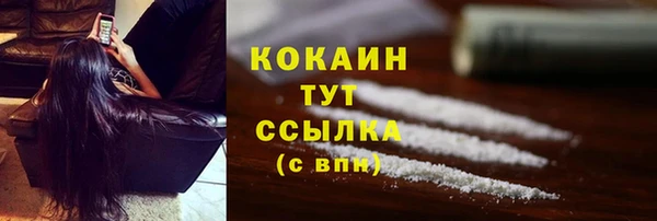 шишки Верхний Тагил