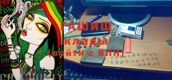 шишки Верхний Тагил