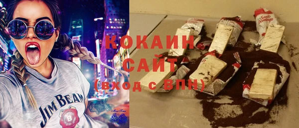 шишки Верхний Тагил