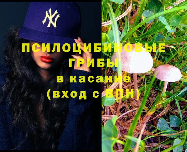 шишки Верхний Тагил