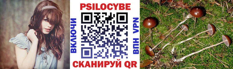 сайты даркнета состав  Вологда  Галлюциногенные грибы Psilocybine cubensis  цены наркотик 